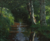 Sous-bois avec ruisseau